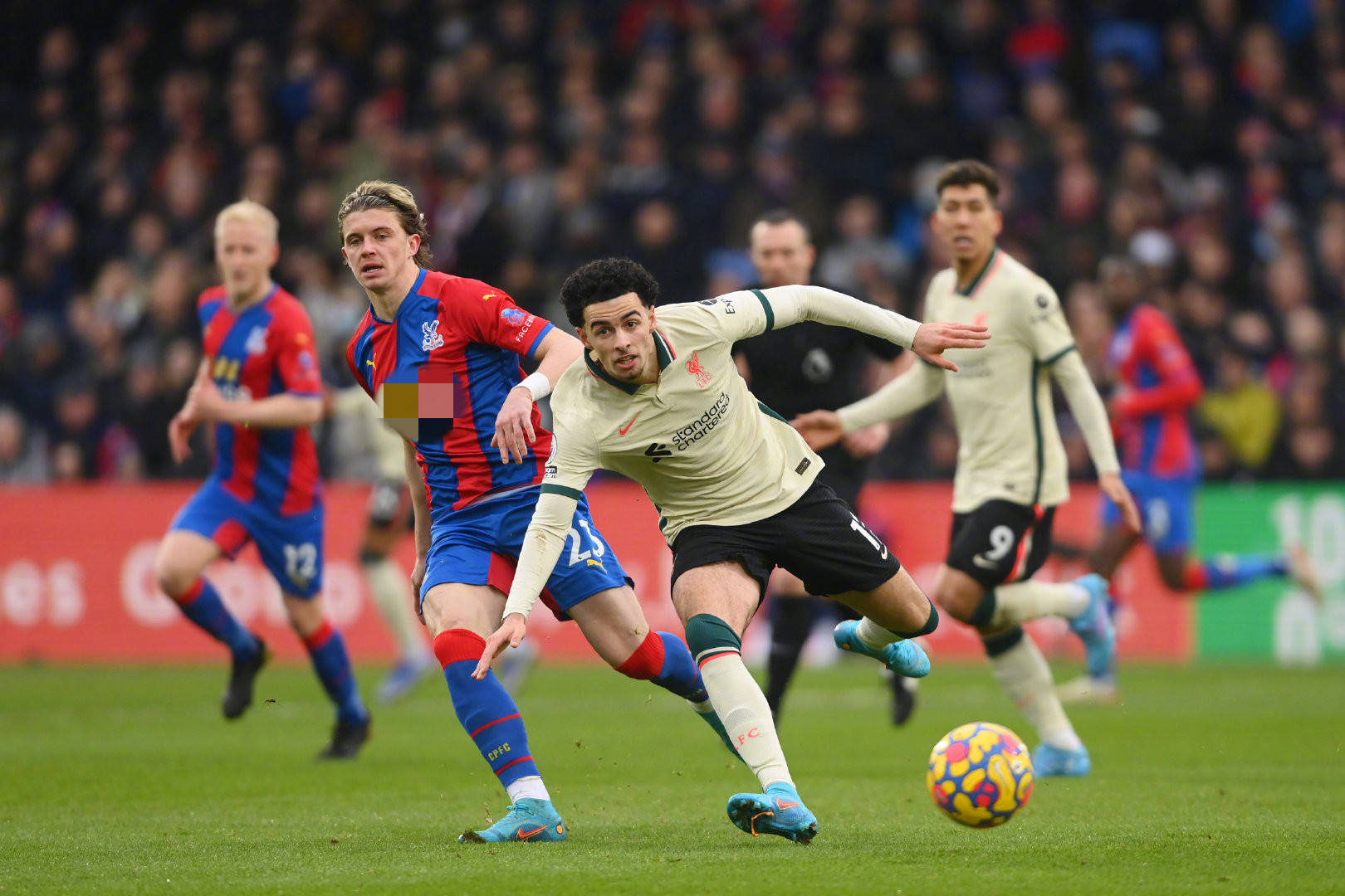 的新巔峰 的新巔峰